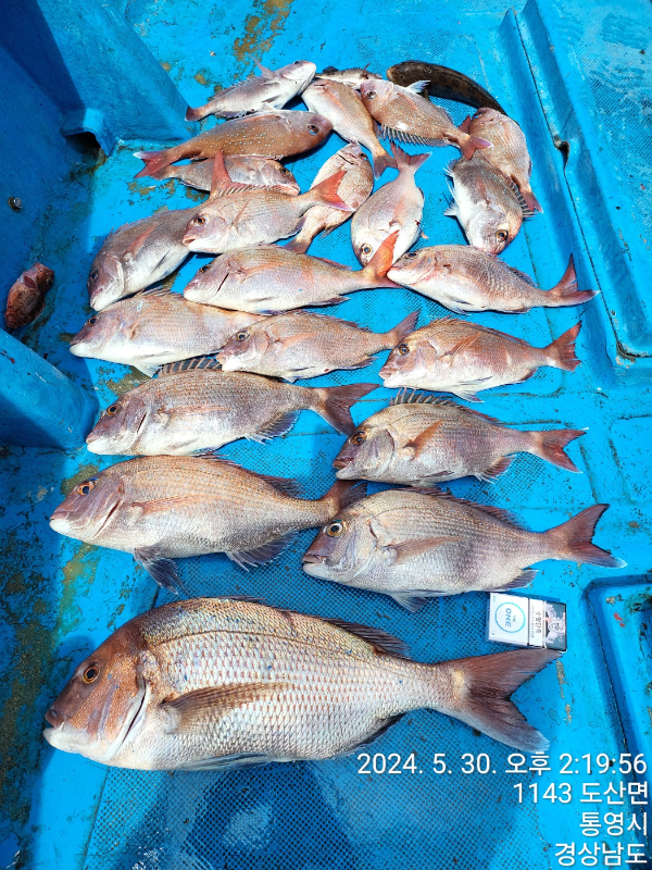 KakaoTalk_20240530_142732115.jpg