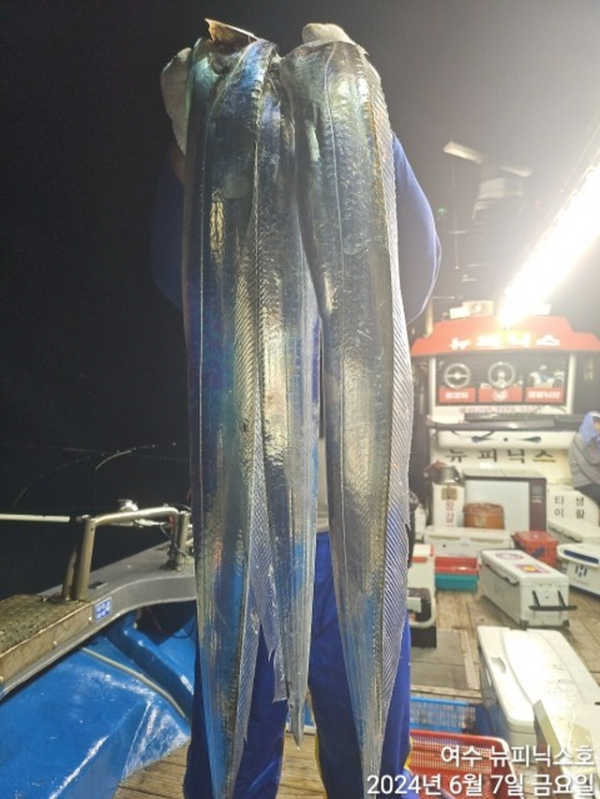 7일대갈치 (4).jpg