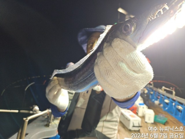 6월7일갈치한치 (30).jpg