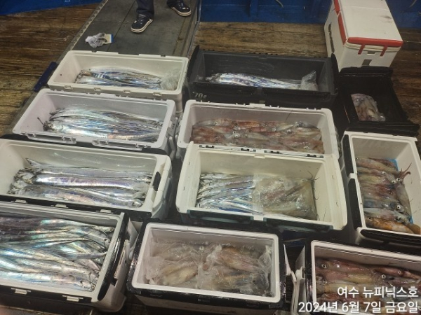 6월7일갈치한치 (4).jpg