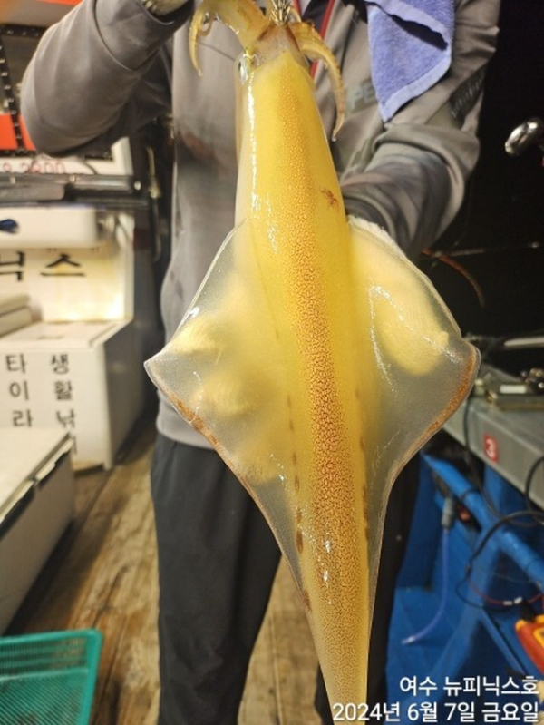 7일대갈치 (8).jpg