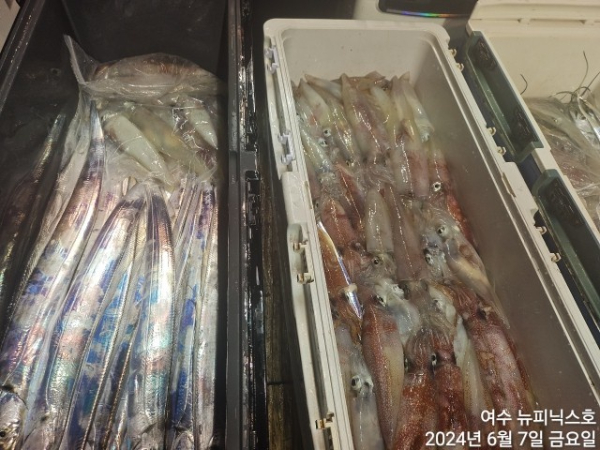 6월7일갈치한치 (11).jpg