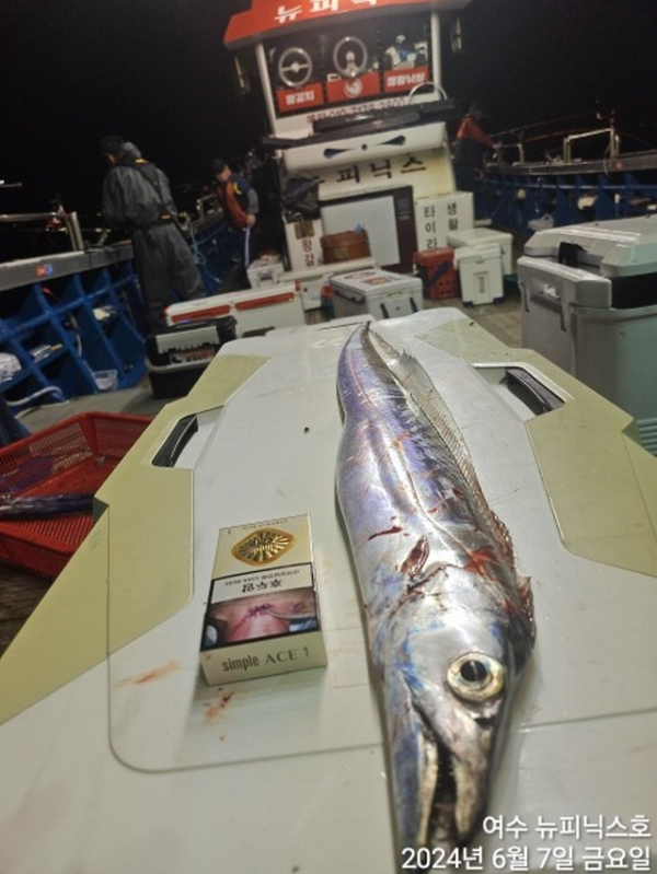 7일대갈치 (10).jpg