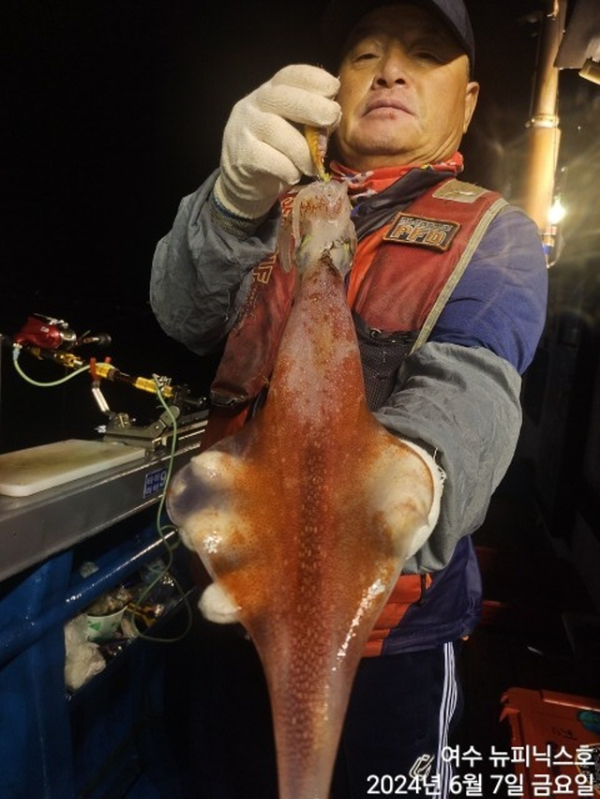 7일대갈치 (1).jpg