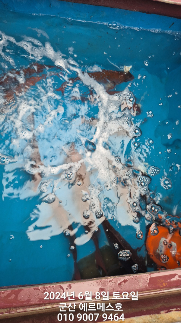 1000010576.jpg