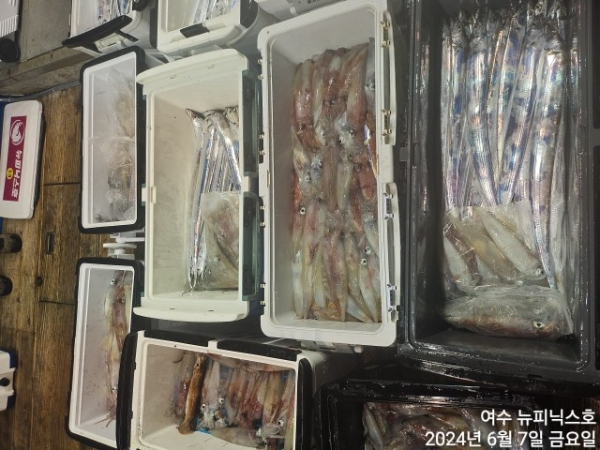 6월7일갈치한치 (10).jpg