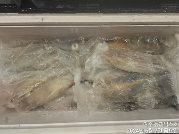 6월7일갈치한치 (6).jpg