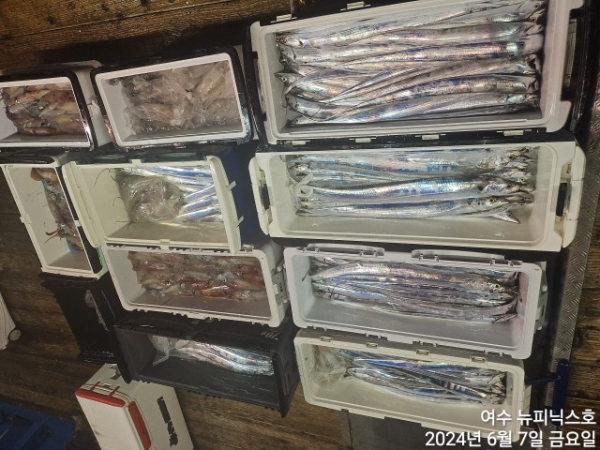 6월7일갈치한치 (49).jpg
