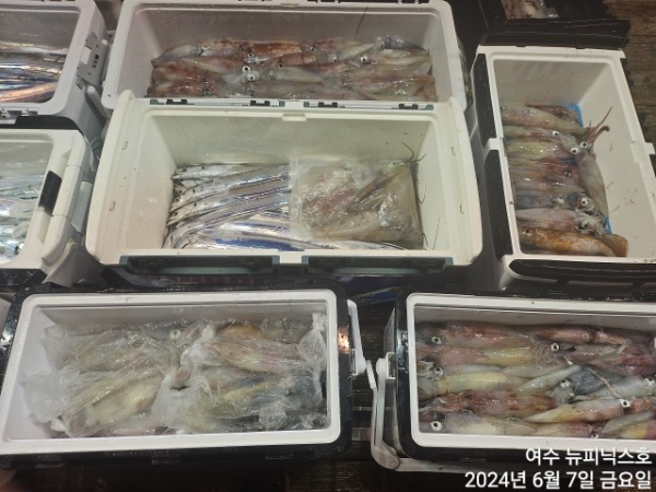 6월7일갈치한치 (5).jpg