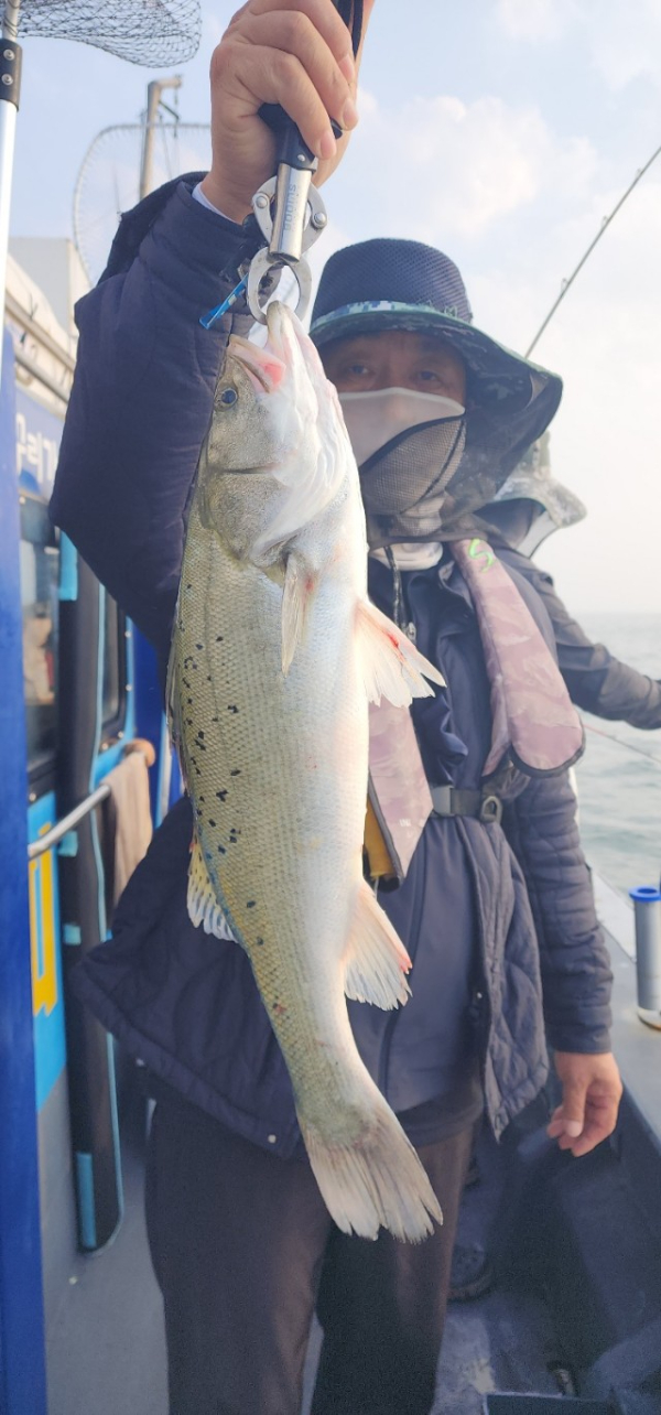 예지퀸호 농어외수질&어초낚시 경기인천권_사진_20240611_20.jpg