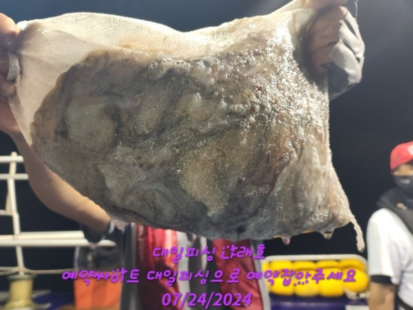 KakaoTalk_20240724_045002942_01.jpg