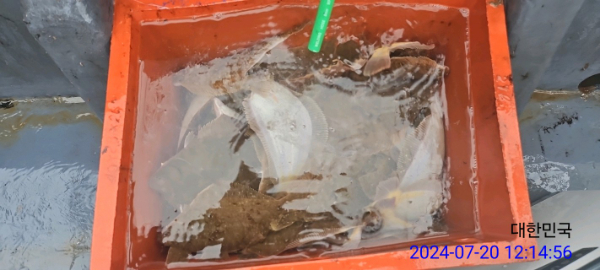 신신낚시 강구점 신신호-전체 사진-61380716567.jpg