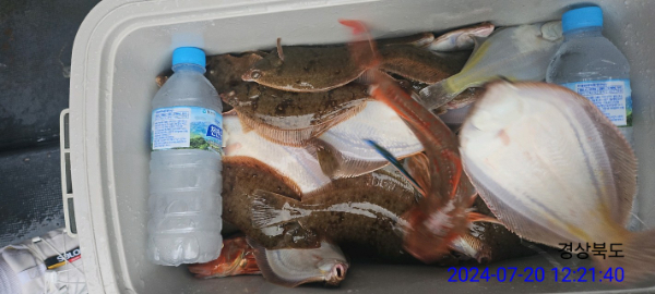 신신낚시 강구점 신신호-전체 사진-61380716576.jpg