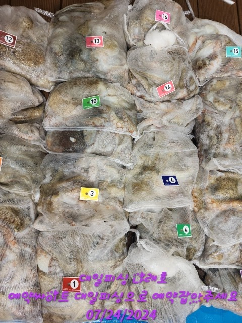 KakaoTalk_20240724_045002942_03.jpg