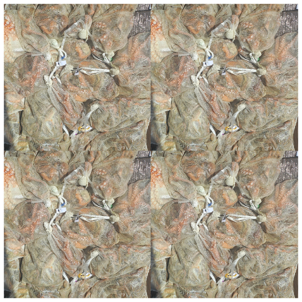 6e75acd8c08c5d038db792c9abb94391.jpg