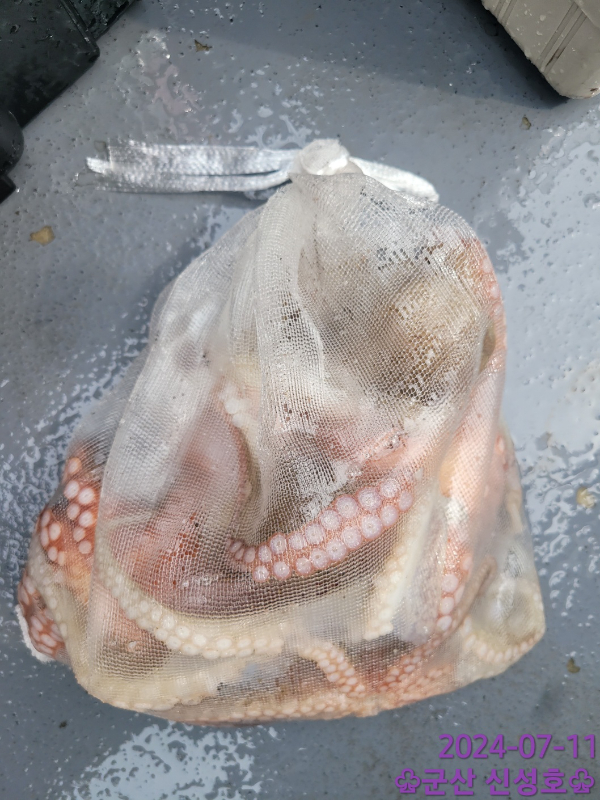 1720699407561.jpg