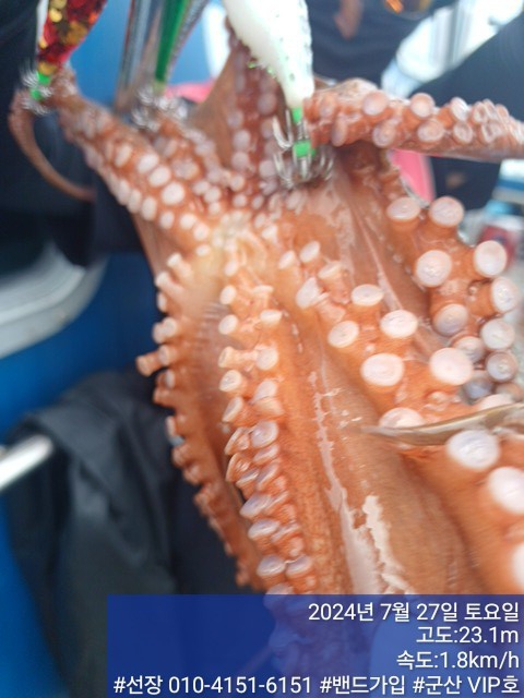 KakaoTalk_20240727_155945545_15.jpg