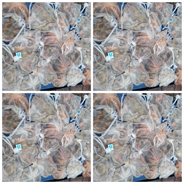9ff25a6499b40e97d4fd145d92789c6a.jpg