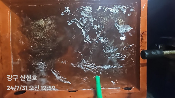 1000020380.jpg