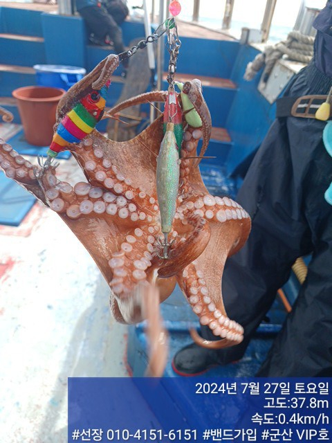 KakaoTalk_20240727_155945545_16.jpg