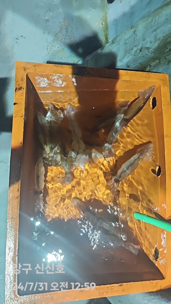 1000020384.jpg