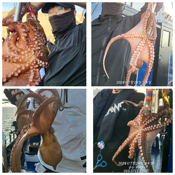 GridArt_20240728_064659254.jpg
