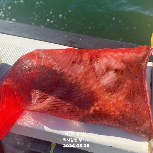 TC_05540.jpeg