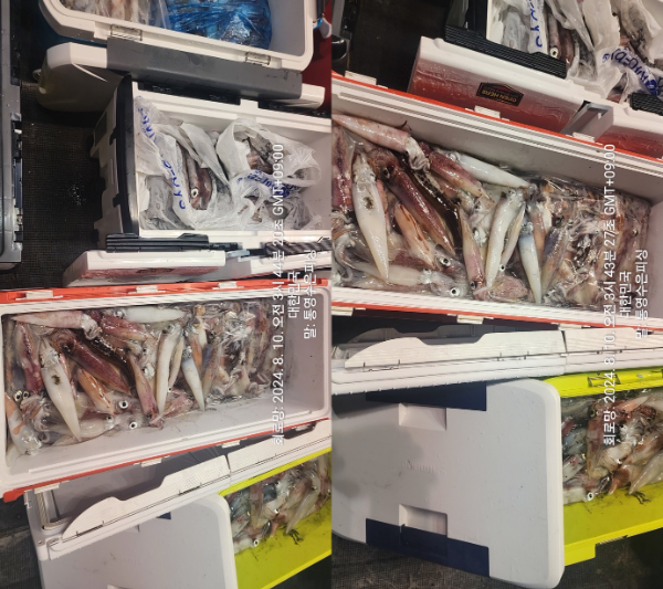 1723236654753-tile.jpg