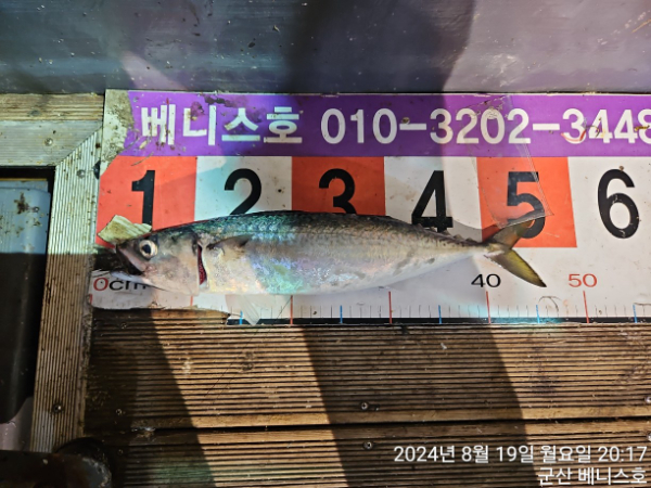 KakaoTalk_20240820_032443753_07.jpg