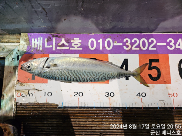 KakaoTalk_20240818_032404803_04.jpg