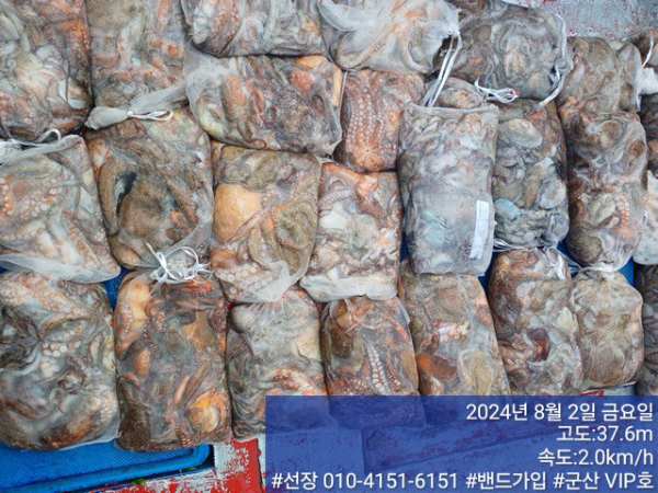 KakaoTalk_20240802_145807295_06.jpg