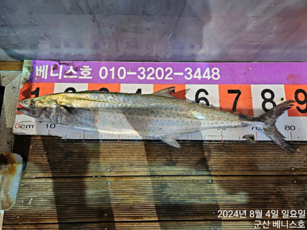 KakaoTalk_20240805_041632322_01.jpg