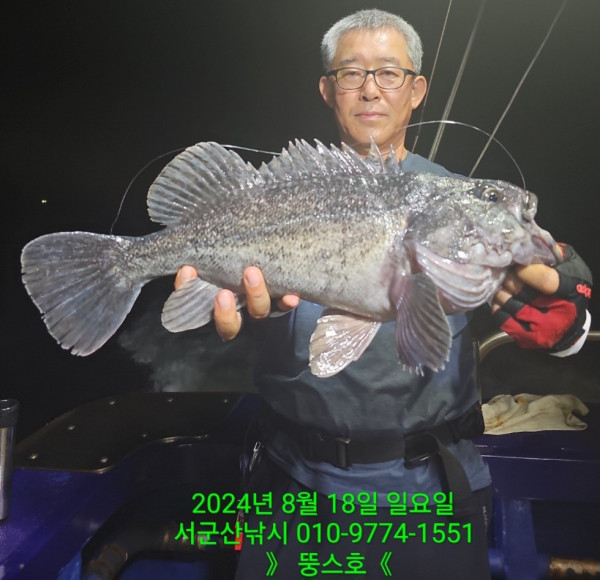 군산 선상낚시, 바다낚시 출조 전문 ☆서군산낚시☆_사진_20240818_1.jpg