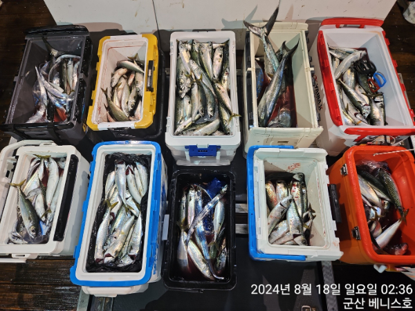 KakaoTalk_20240818_032105653.jpg