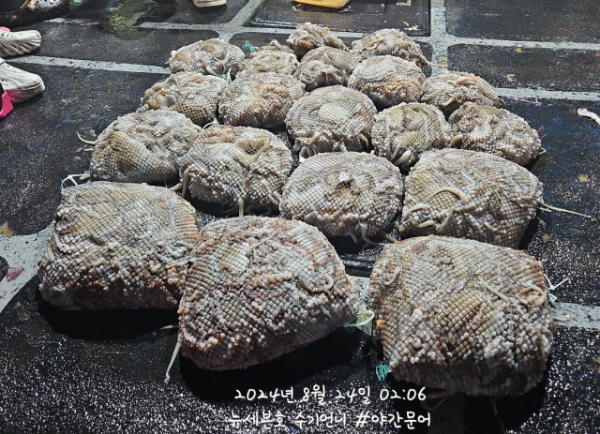 6_876Ud018svc1c6nfisw8wzi6_82sd02.jpg
