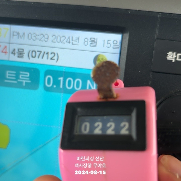 TC_05375.jpeg