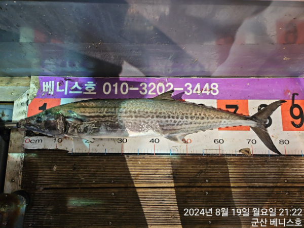 KakaoTalk_20240820_032511390_02.jpg