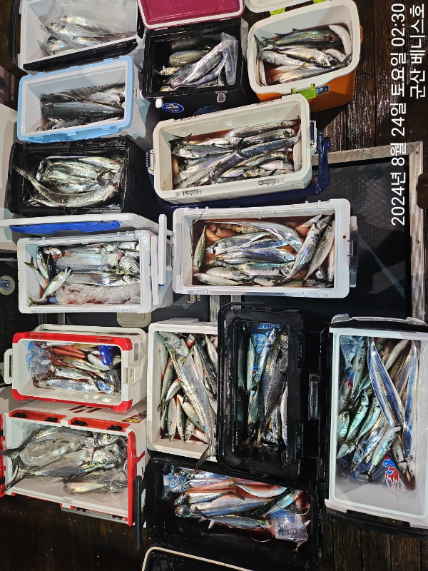 KakaoTalk_20240824_032627529.jpg