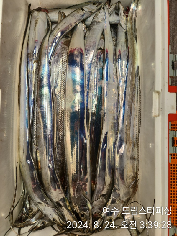 2f5cbb814e524cf65ac092ca72136f0c.jpg