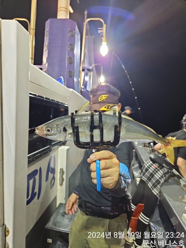 KakaoTalk_20240820_032443753.jpg
