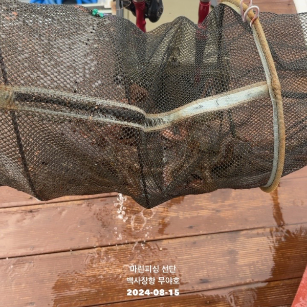 TC_05391.jpeg