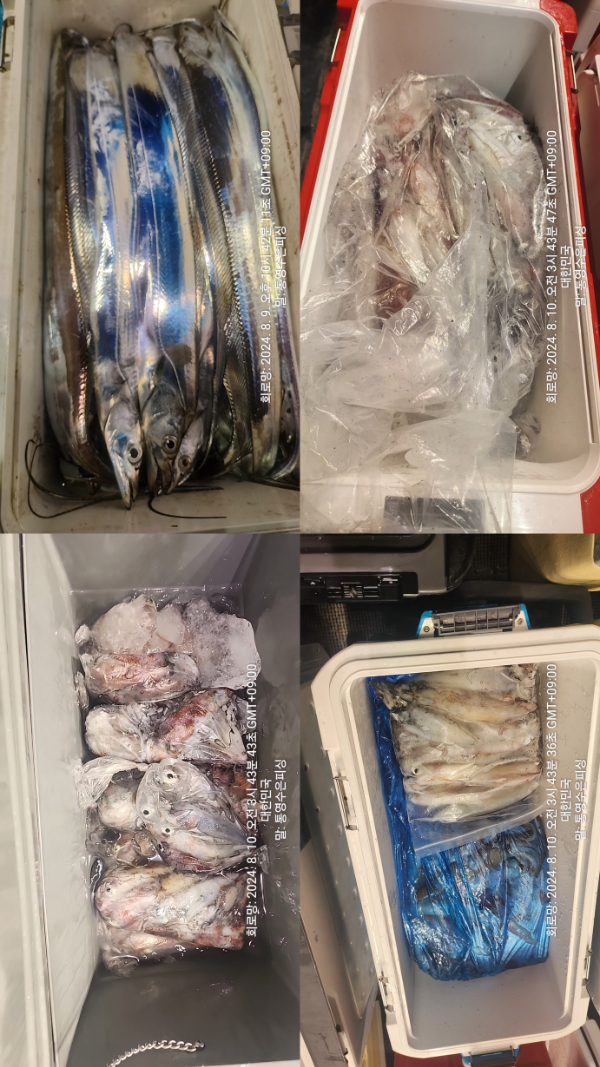 1723212766733-tile.jpg