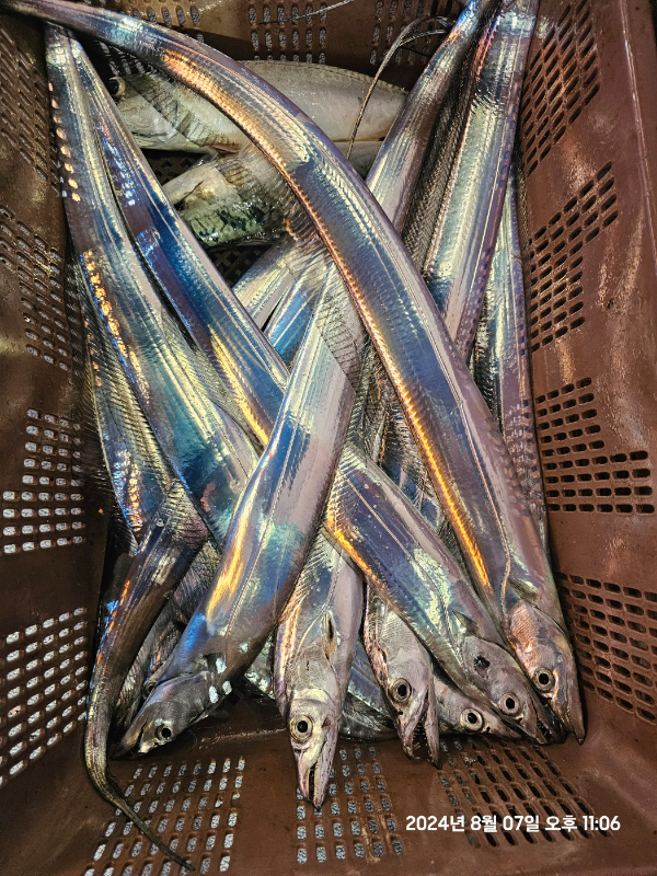 1000017587.jpg