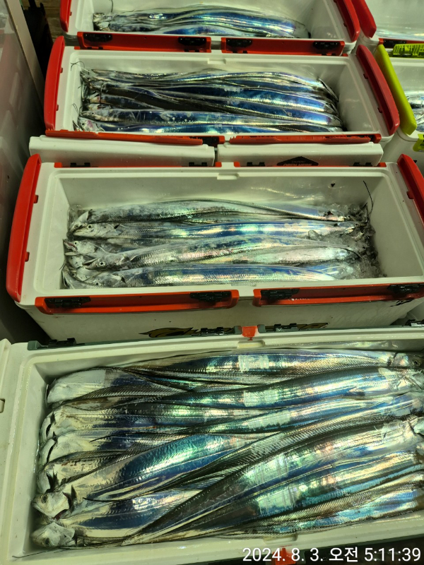 1000033420.jpg