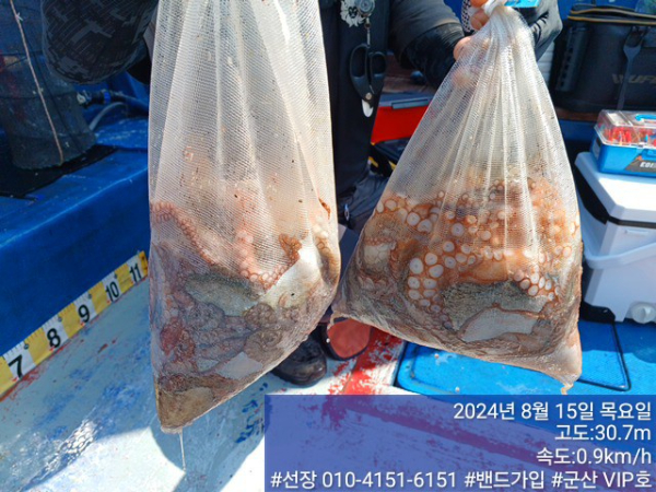 KakaoTalk_20240815_150340870.jpg