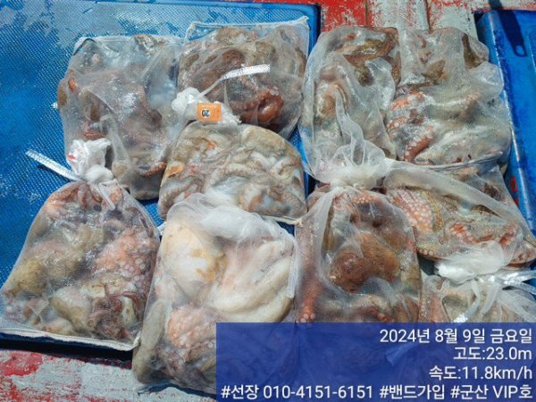 KakaoTalk_20240809_161608771_14.jpg