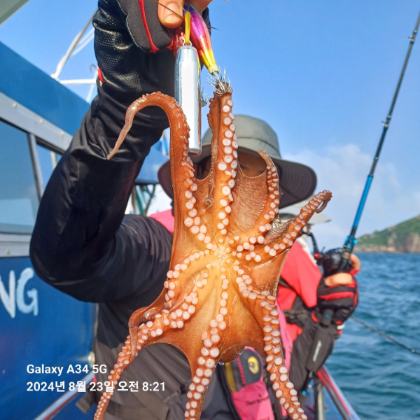 KakaoTalk_20240823_114649511_05.jpg