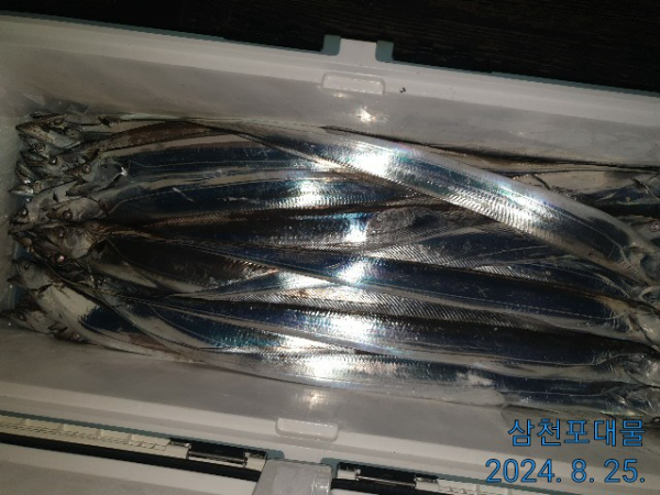 IMG_20240825_022029.jpg
