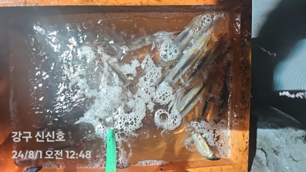 1000020421.jpg