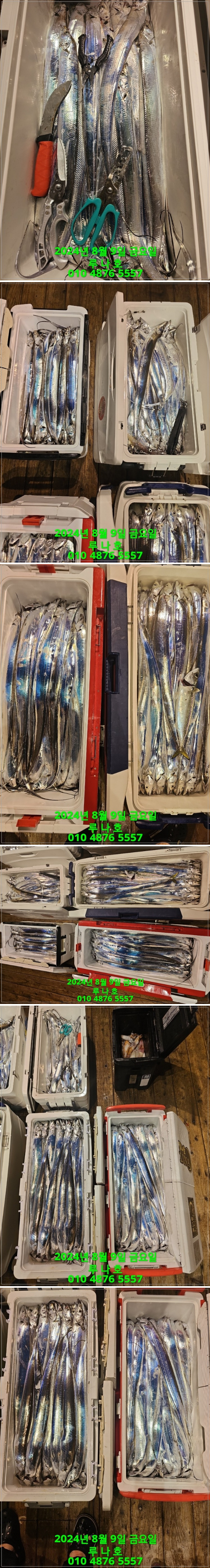 1000002336.jpg
